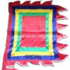 Cho-thue-co-ngu-sac