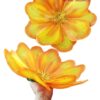 Hoa cam vàng trung (giá thuê cặp)
