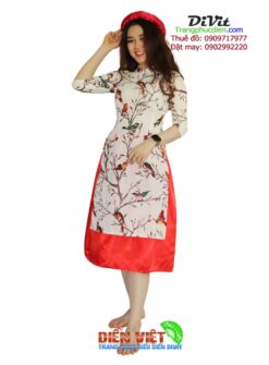 Cho thuê áo dài cách tân nữ