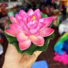 Hoa sen nhỏ cầm tay(cái)