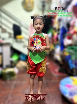 Áo yếm quần bí đỏ xanh