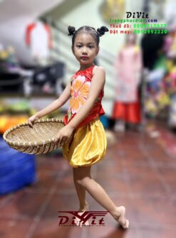Cho thuê bí múa trống cơm