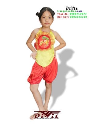 cho-thue-ao-yem-và-quan-bi