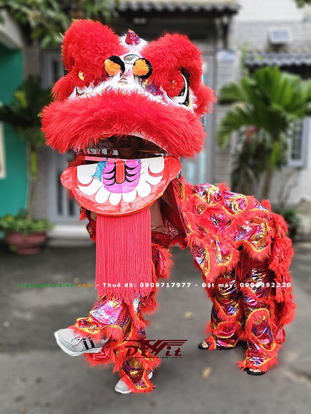 Cho thuê đầu lân đỏ lông cừu