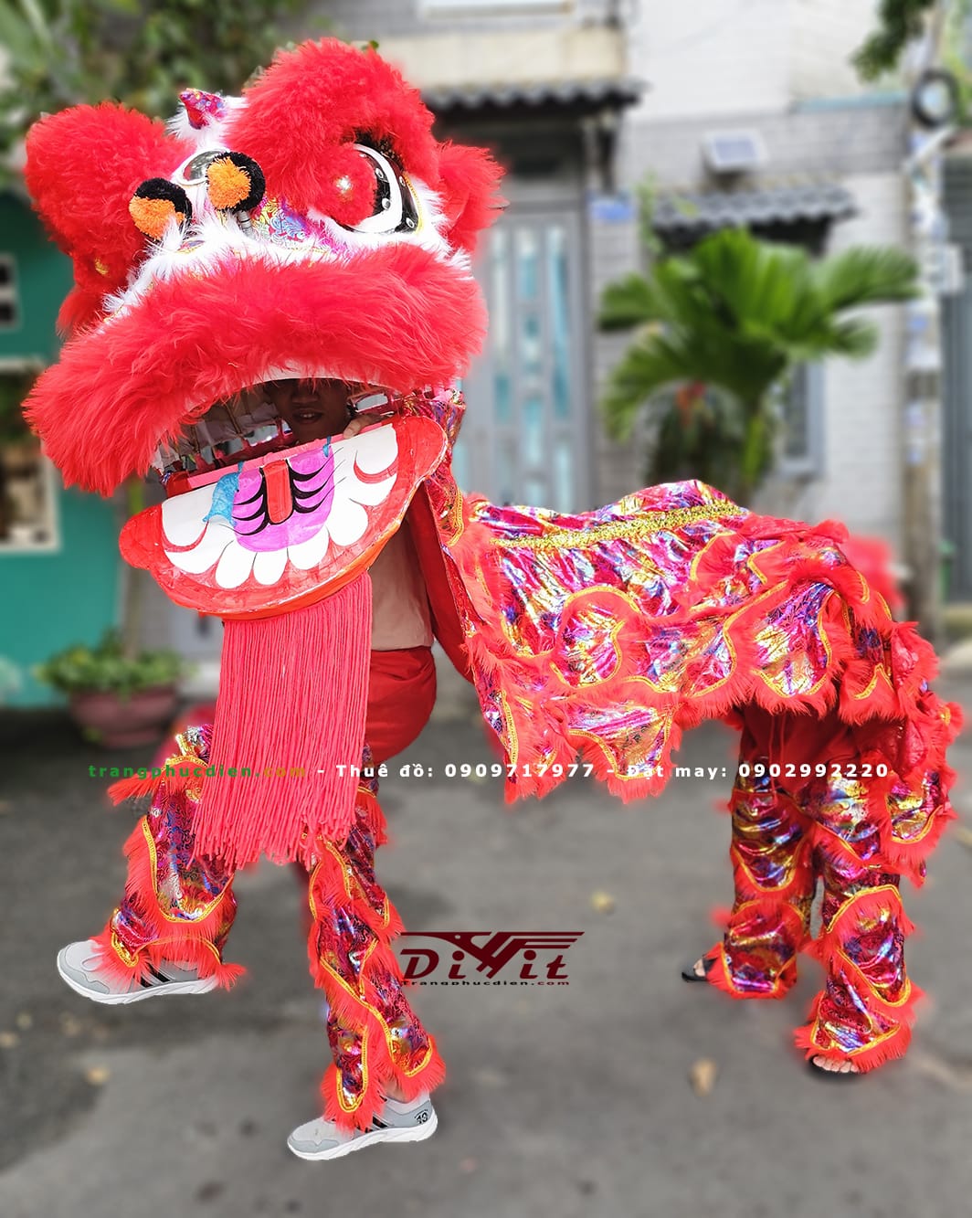 Cho thuê đầu lân đỏ lông cừu