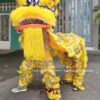 Cho thuê đầu lân vàng lông cừu