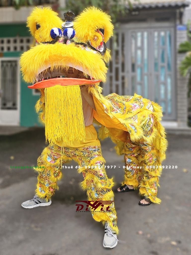 Cho thuê đầu lân vàng lông cừu