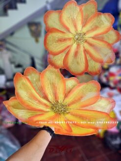 Hoa vàng cam lớn(giá thuê cặp)