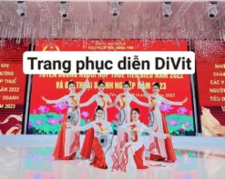 Áo dài in bản đồ Việt Nam