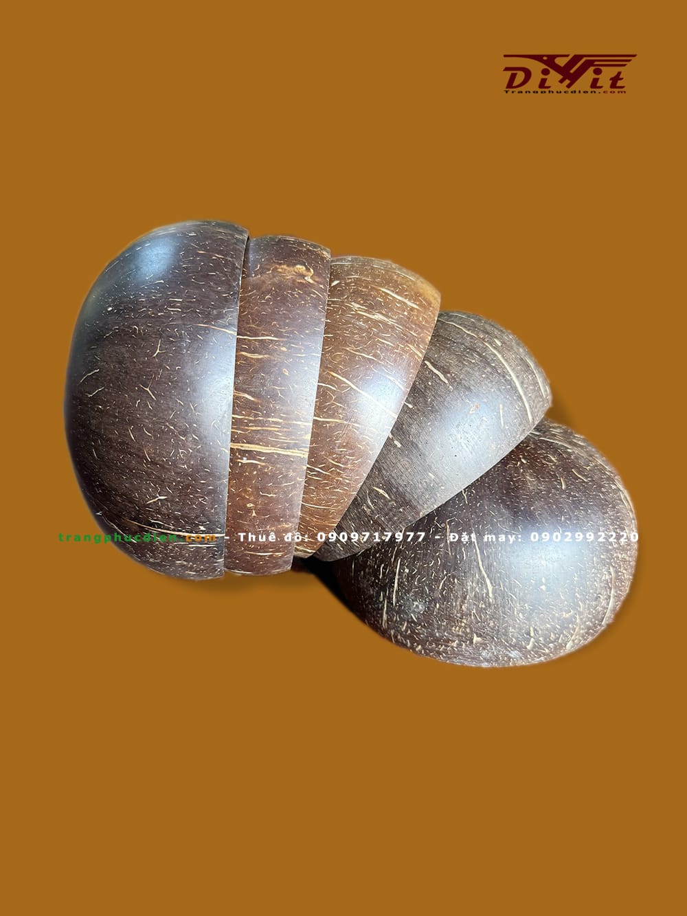 Cho thuê gáo dừa