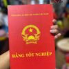 Bằng tốt nghiệp mô phỏng