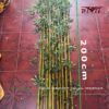 Cho thuê cây tre đạo cụ diễn