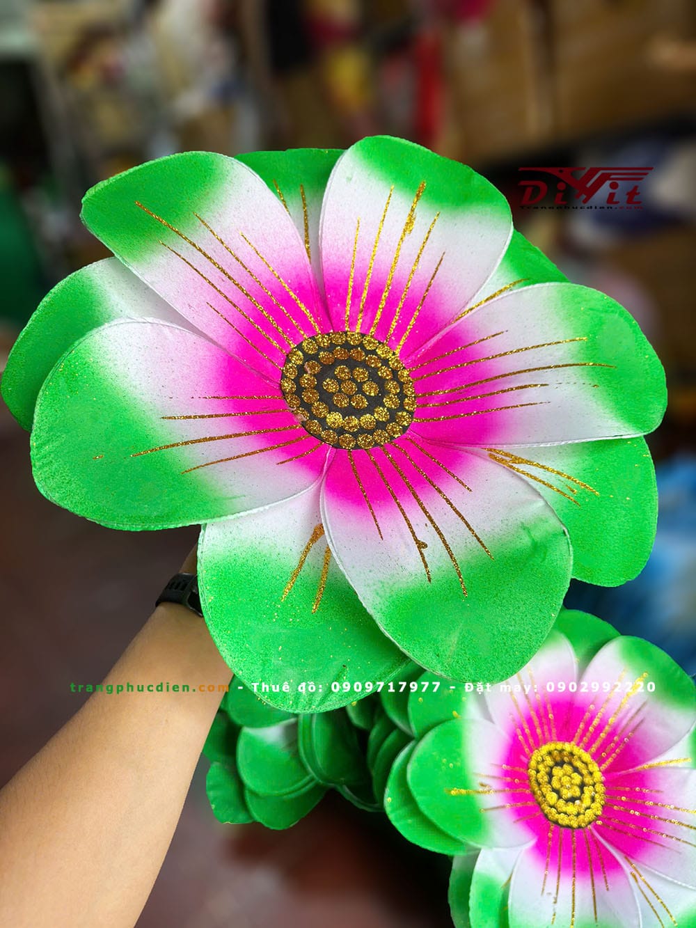 Hoa múa hồng xanh lá (giá thuê cặp)