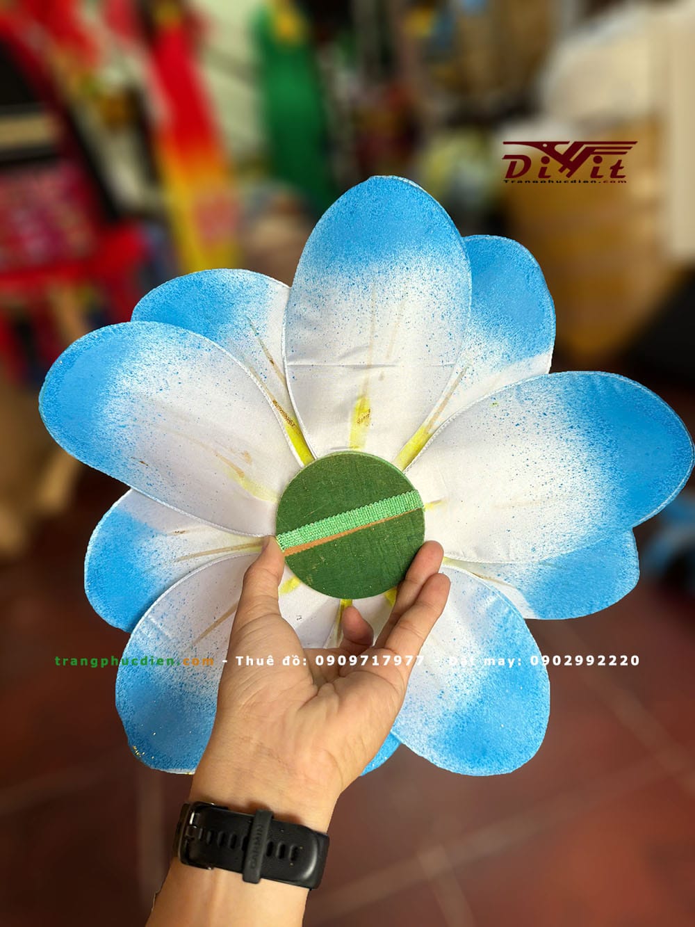 Hoa múa vàng xanh biển(giá thuê cặp)