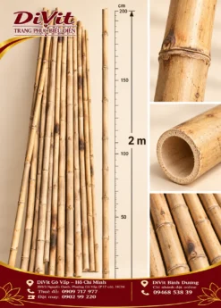 Tre khô nhảy sạp 2m